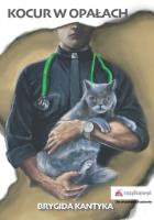 Kocur w opałach. Autor: Kantyka Brygida. SmakLiter.pl Okładka książki Kocur w opałach