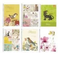 Opakowanie Kołonotes B6 /150 kartkowy w kratkę.  Seria 933K. Skolarik (mix wzorów)