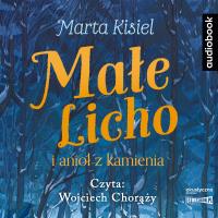 Małe Licho i anioł z kamienia - Audiobook. Autor: Marta Kisiel. SmakLiter.pl Okładka książki Małe Licho i anioł z kamienia - Audiobook