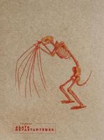 Opakowanie Notes Alata Devastanteque