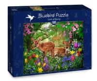 Opakowanie Puzzle 1500 Duch wiosny
