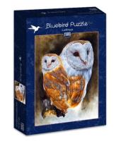 Opakowanie Puzzle 1500 Lśniące sowy