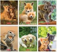 Opakowanie Zeszyt A5/16K linia podwójna Animals (10szt)