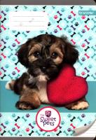 Zeszyt A5 w trzy linie kolorowe 16 kartek Sweet Pets. Wydawca: Beniamin. SmakLiter.pl Opakowanie Zeszyt A5 w trzy linie kolorowe 16 kartek Sweet Pets