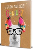 Opakowanie Brulion A4/96K kratka Geniusz-04