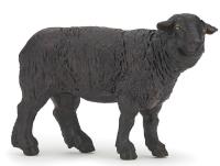 Opakowanie Czarna owca