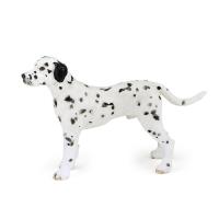 Opakowanie Dalmatyńczyk