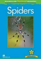 Okładka książki Factual: Spiders 4+