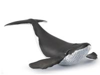 Opakowanie Humbak młody