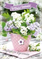 Opakowanie Karnet Imieniny GM-724