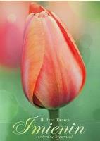 Opakowanie Karnet Imieniny K. B6-1194