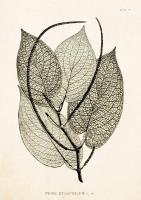 Opakowanie Karnet ST293 B6 + koperta Pieprz 1