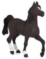 Opakowanie Koń rasy arabskiej