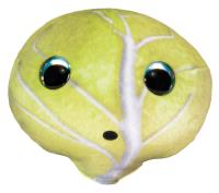 Opakowanie Lumo Stars Veggies and Berries Cabbage Teikku