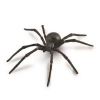 Pająk Czarna wdowa. Wydawca: Collecta. SmakLiter.pl Opakowanie Pająk Czarna wdowa