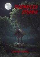 Tajemnicza studnia. Autor: Siwiec Tomasz. SmakLiter.pl Okładka książki Tajemnicza studnia