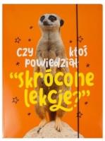 Opakowanie Teczka A4 z gumką AleJakTo-04