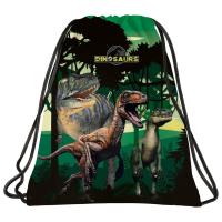 Opakowanie Worek na obuwie Dinozaur 15 DERFORM