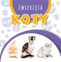 Okładka książki Wstęgi kartonowe. Koty