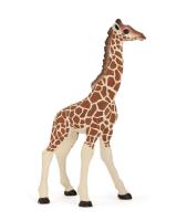 Opakowanie Żyrafa młoda