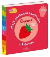 Akademia mądrego dziecka. Owoce. Autor: Mr Iwi. SmakLiter.pl Okładka książki Akademia mądrego dziecka. Owoce