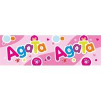 Opakowanie Bidon 300ml Agata