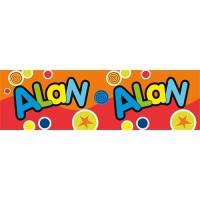 Opakowanie Bidon 300ml Alan