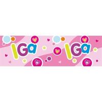 Opakowanie Bidon 300ml Iga