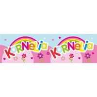 Opakowanie Bidon 300ml Kornelia