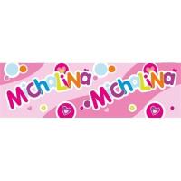 Opakowanie Bidon 300ml Michalina