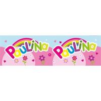 Opakowanie Bidon 300ml Paulina