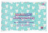Opakowanie Blok rysunkowy pastelowy Lenka A4/14K 1szt STRIGO