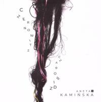 Czerowitz Czarowidz. Autor: Aneta Kamińska. SmakLiter.pl Okładka książki Czerowitz Czarowidz