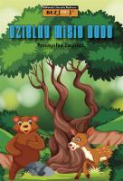 Okładka książki Dzielny misio Dodo