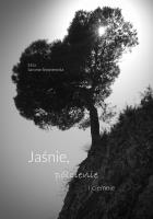 Jaśnie półcienie i ciemnie. Autor: Saroma-Stępniewska Eliza. SmakLiter.pl Okładka książki Jaśnie półcienie i ciemnie