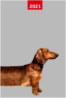 Opakowanie Kalendarz 2021 A5 tygodniowy Overgrown NARCISSUS