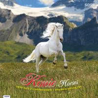 Opakowanie Kalendarz 2022 KAD-11 Konie AVANTI