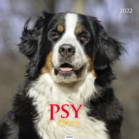 Opakowanie Kalendarz 2022 KD-20 Psy AVANTI