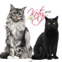 Opakowanie Kalendarz 2022 KD-21 Koty AVANTI