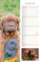 Opakowanie Kalendarz 2022 Ścienny paskowy Psy i koty RADWAN
