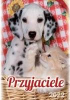 Opakowanie Kalendarz 2022 Ścienny Przyjaciele ARTSEZON