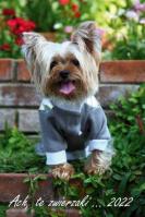 Opakowanie Kalendarz 2022 Ścienny wielopl. Ach, te zwierzaki