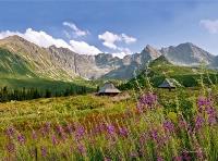 Opakowanie Kalendarz 2022 Trójdzielny Tatry RADWAN