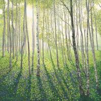 Opakowanie Karnet z kopertą Brzozowy las