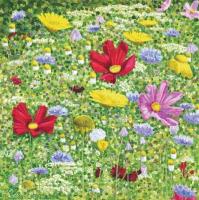 Opakowanie Karnet z kopertą Kwiaty na łące