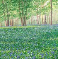 Opakowanie Karnet z kopertą Las dzwonków II