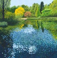 Opakowanie Karnet z kopertą Ogród Reflections