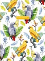 Opakowanie Notatnik ozdobny 145x197/120K kratka TW Papuga