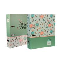 Opakowanie Segregator A4/2R 8 cm z dźwignią B'Log Birds