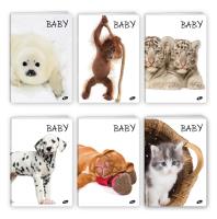 Zeszyt A5 32K kratka BABY pakiet 20 sztuk. Wydawca: Melisa Bel. SmakLiter.pl Opakowanie Zeszyt A5 32K kratka BABY pakiet 20 sztuk